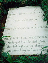 shelley grave